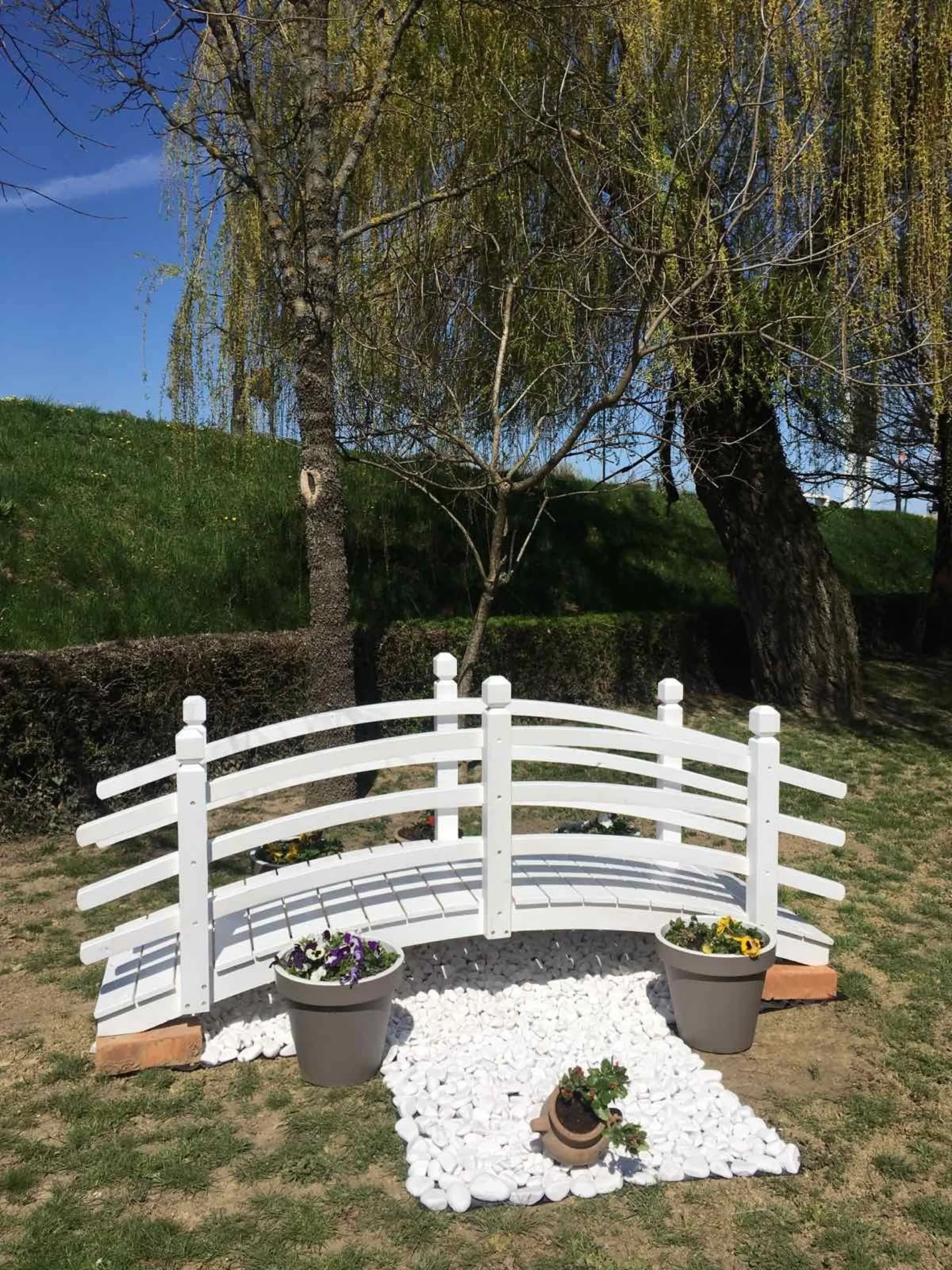 IMG 9f857ec58d359218518030a4b4ff9c18 V